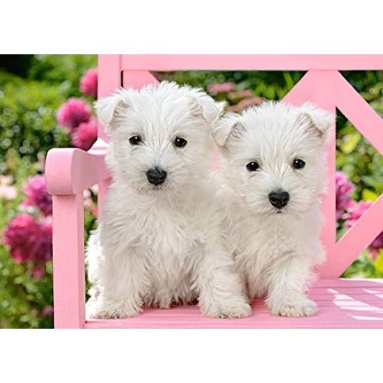 PUZZLE CASTORLAND 120 White Terrier Puppies B-13494 ΠΑΙΧΝΙΔΙΑ